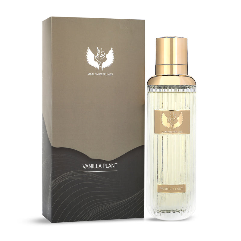 Vanilla Plant Perfume 200ml Maalem Perfume