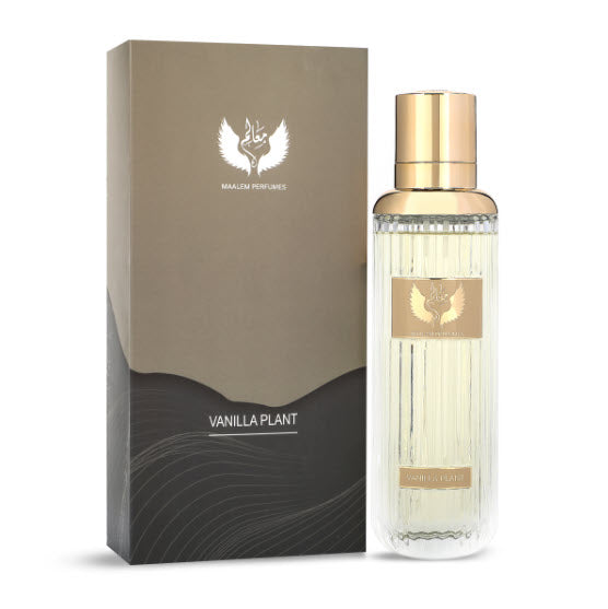 Vanilla Plant Perfume 200ml Maalem Perfume - Perfumes600