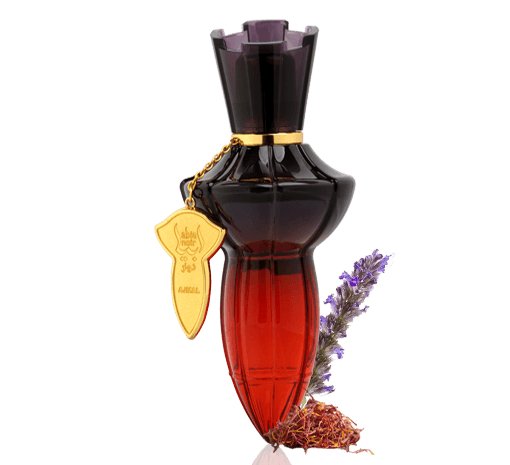Abia Noir Perfume Spray For Women 75ml Ajmal Perfume - Perfumes600