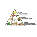 Amber Oud Bleu Edition Perfume 60ml Al Haramain Perfume - Perfumes600