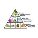 Amber Oud Carbon Edition Perfume 60ml Al Haramain Perfume - Perfumes600