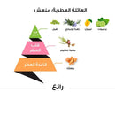 Raea Classic Perfume 100 Ml Men By Al Majid Perfumes - Perfumes600